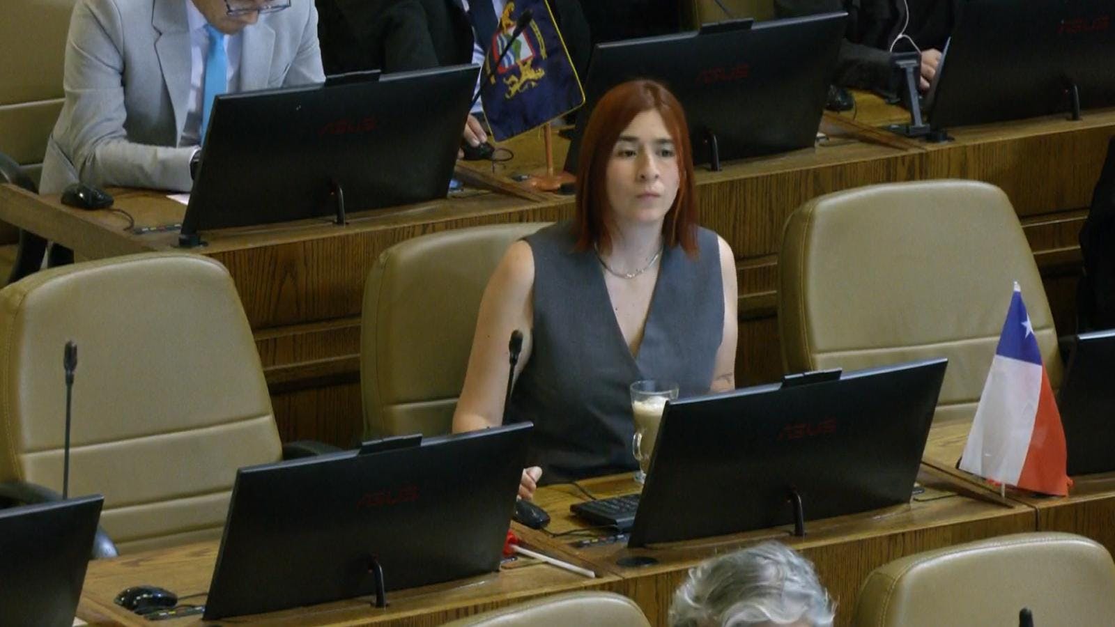 Fiscalía ingresó solicitud de desafuero de diputada Catalina Pérez
