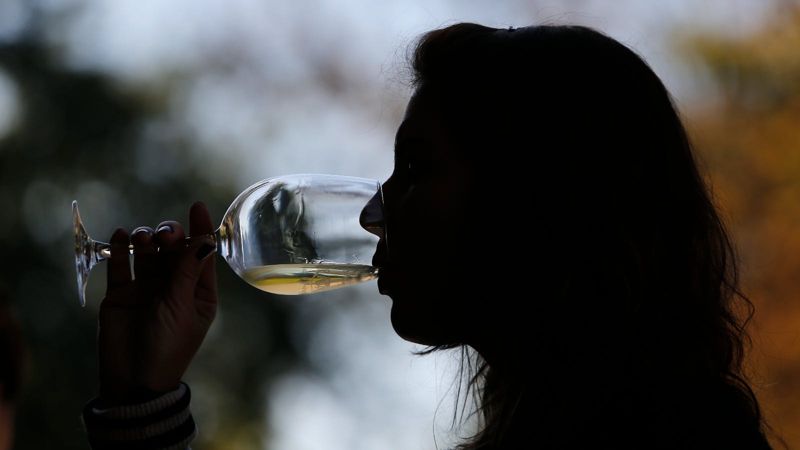 Directora (s) del SENDA llama a reflexión ante fiestas: En Chile es cero alcohol