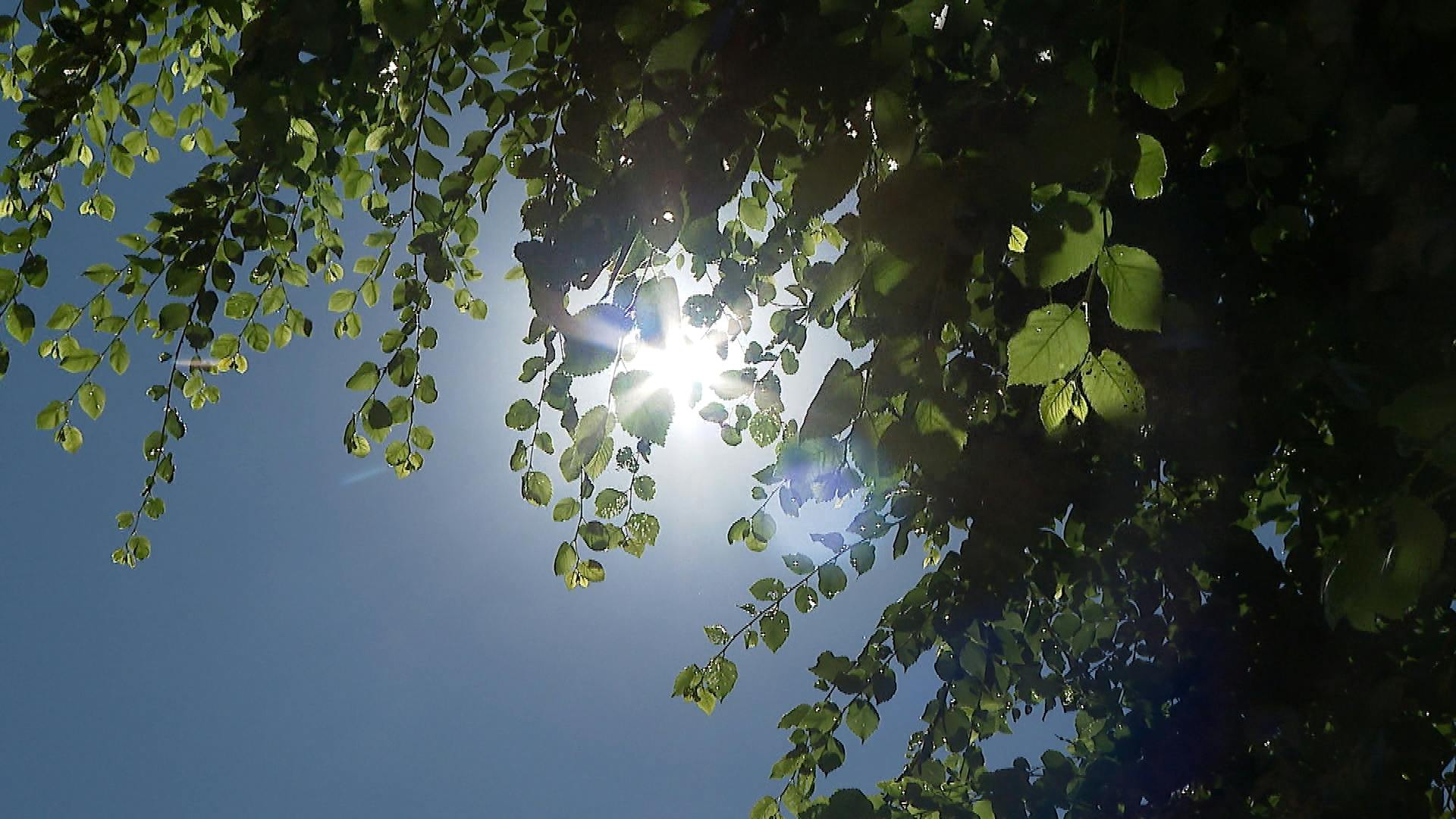 Hasta 39° podrían registrarse entre Ñuble y Biobío