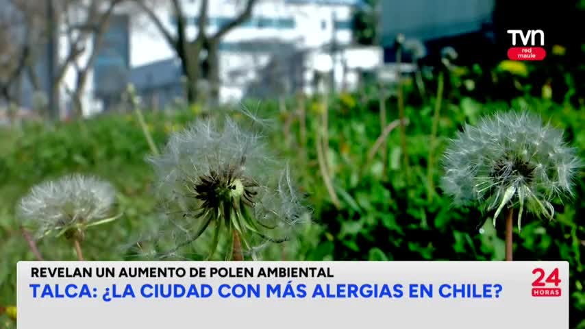 ¿Es Talca la ciudad con más alérgias en Chile?