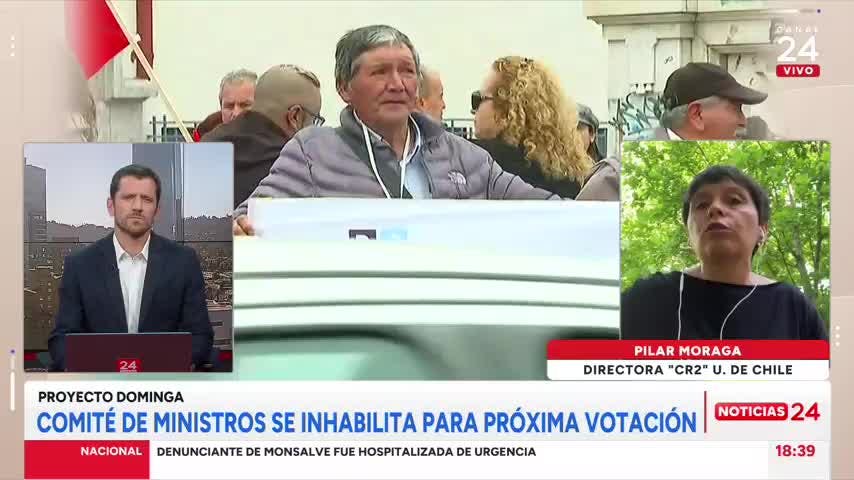 Directora del "CR2" por proyecto Dominga: "Los ruidos de navegación son factores que alteran la biodiversidad"