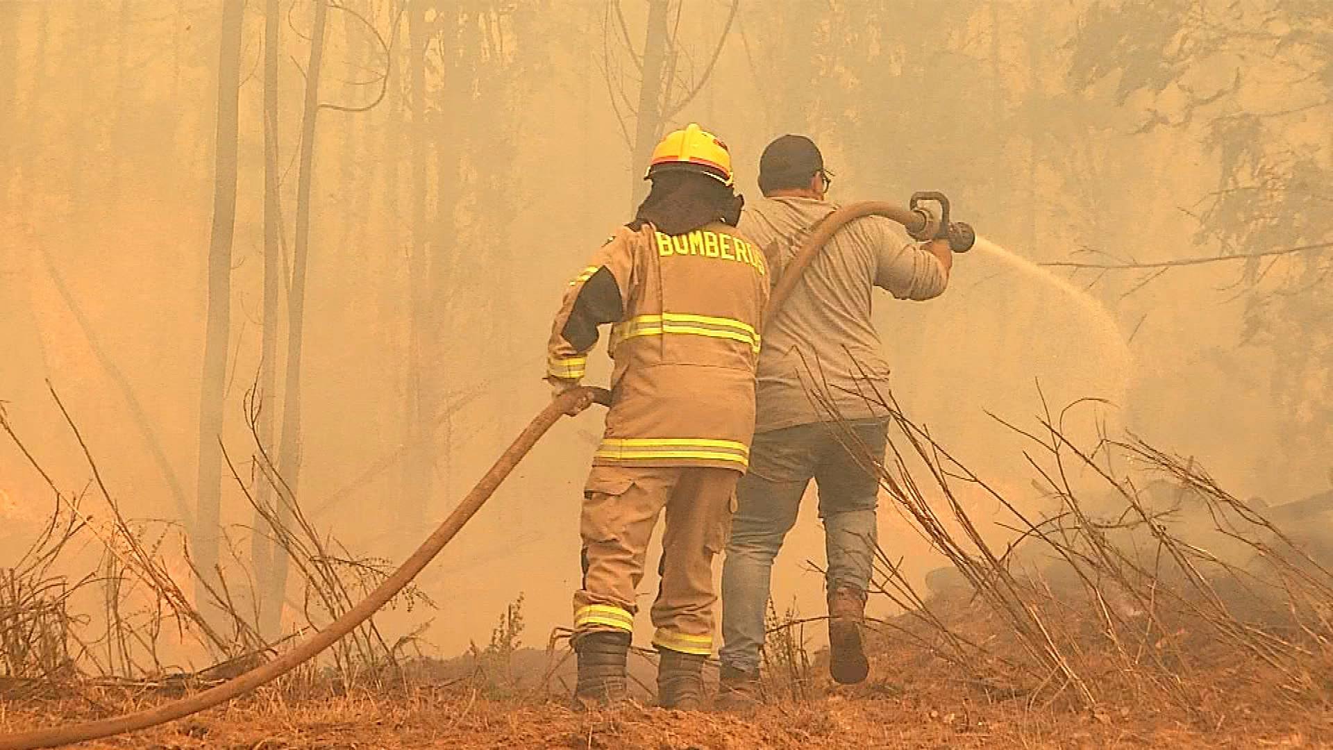 PDI creó equipos investigadores de incendios forestales en el Biobío