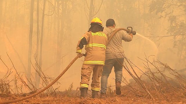 PDI creó equipos investigadores de incendios forestales en el Biobío