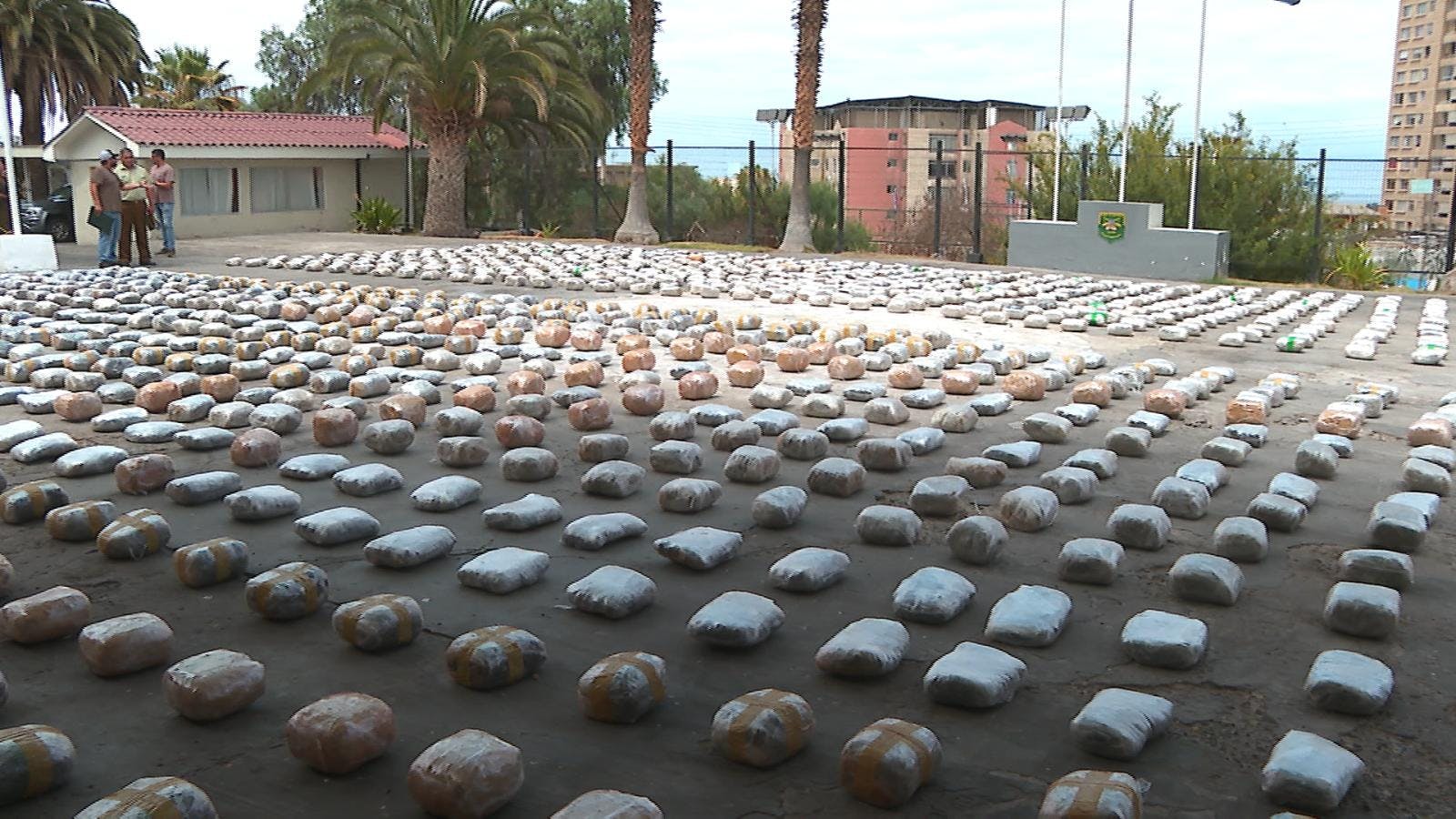 Carabineros realizó histórico decomiso de droga 