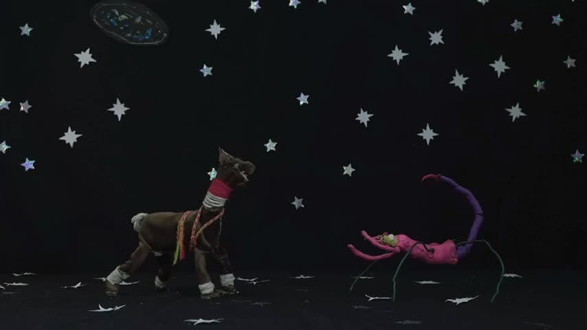 NTV y cortometrajes del Festival Ojo de Pescado: Estrellas sobre la ciudad