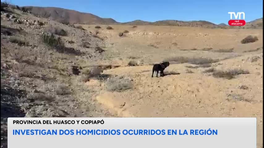 Hallazgo de cuerpo en Parque Nacional Llanos de Challe