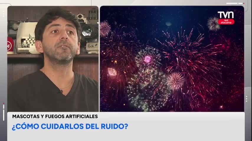 Fuegos artificiales y mascotas
