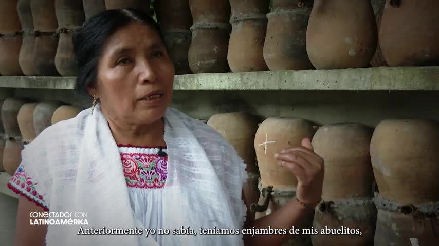 Conectados con Latinoamérica T3 Capítulo 14: Miel Melipona y el Gran Amazonas