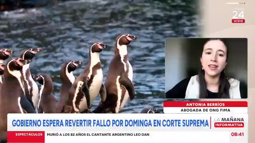 Representante de pescadores de Los Choros por proyecto Dominga: No es viable para la zona
