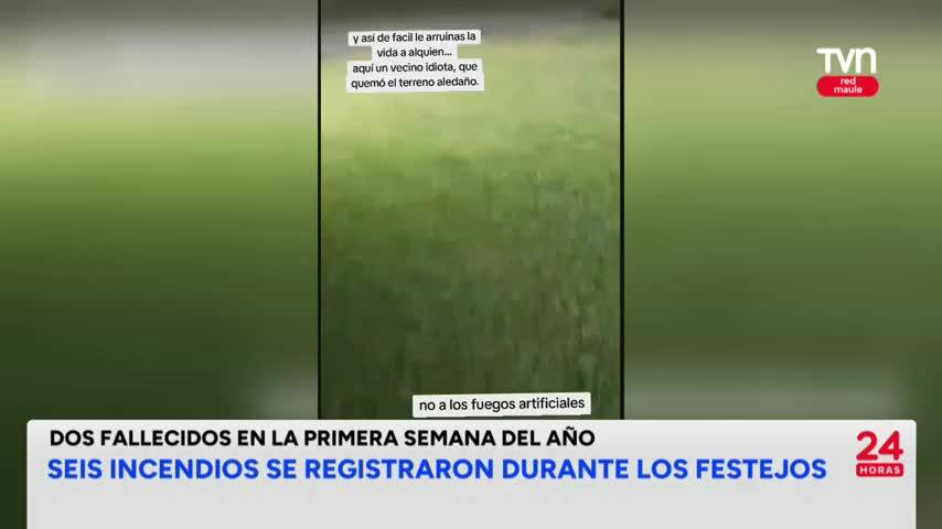 Protecnia sería causante de incendios forestales