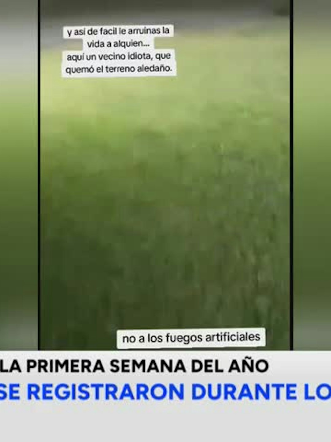Protecnia sería causante de incendios forestales