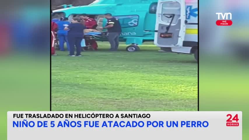 Niño de cinco años fue atacado por un perro en Pelluhue
