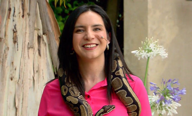 A lo Britney Spears: Vale Reyes supera su miedo al posar con serpiente en el Buenos Días a Todos