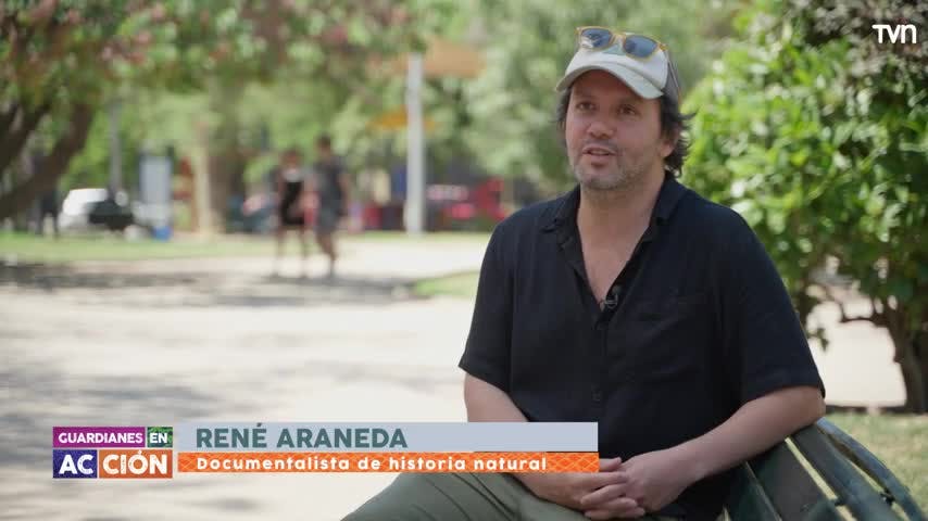 En la sección Guardianes en acción