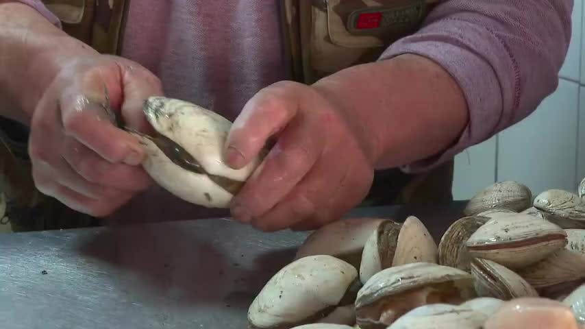 Caleta Tumbes: variada gastronomía marina para disfrutar este veran 