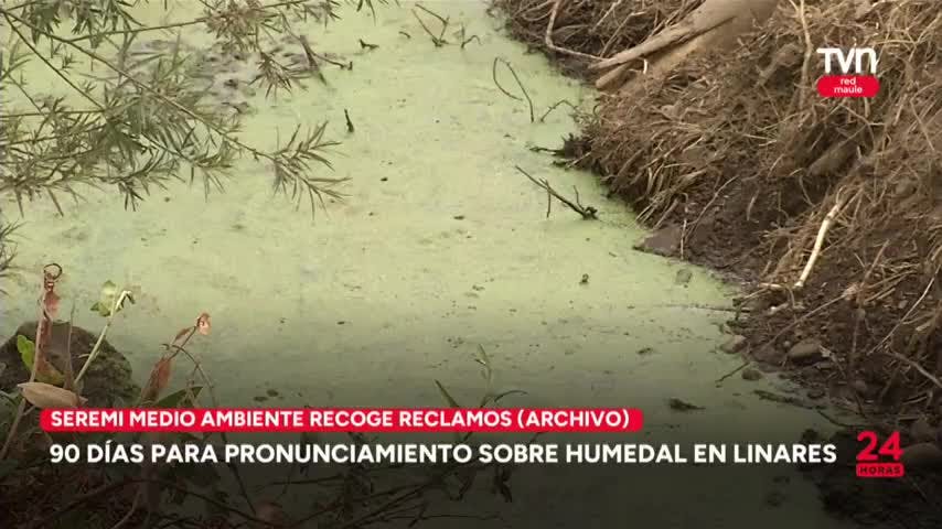 La siguiente es nuestra síntesis informativa