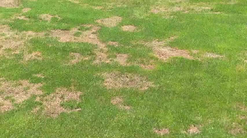 Realizan trabajos de mantención en la cancha del Ester Roa Rebolledo