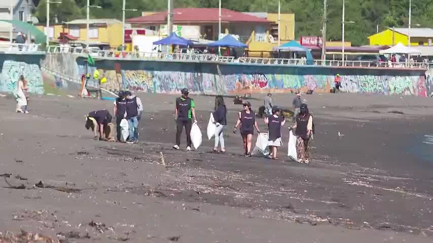 Voluntarios limpiaron la playa de Lenga