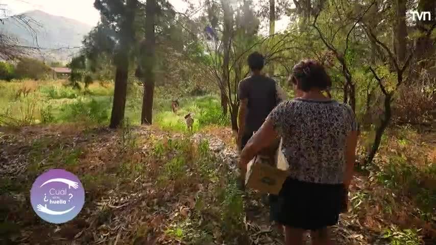 ¿Cuál es tu huella? - Turismo sustentable