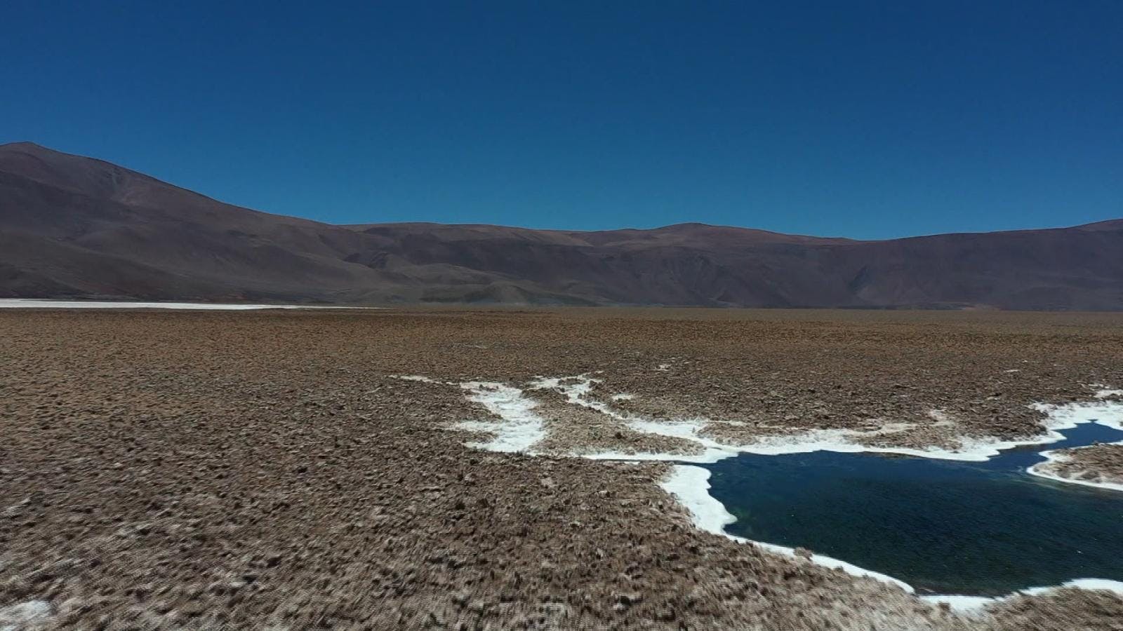 Presentan el instituto nacional del litio y salares