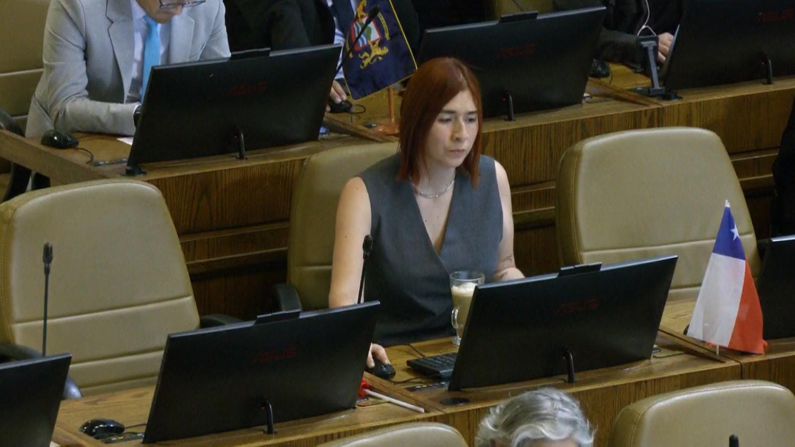 Chat revelan comprometedoras conversaciones entre diputada Catalina Pérez y su ex pareja