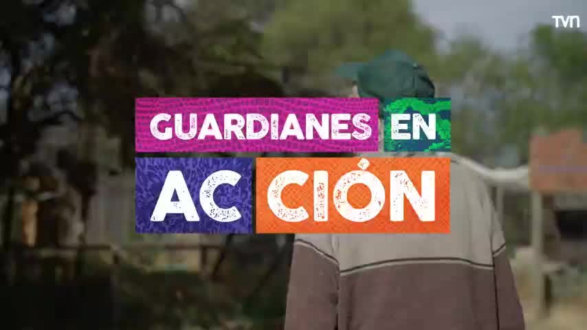 Guardianes en Acción: Jürgen Rottmann