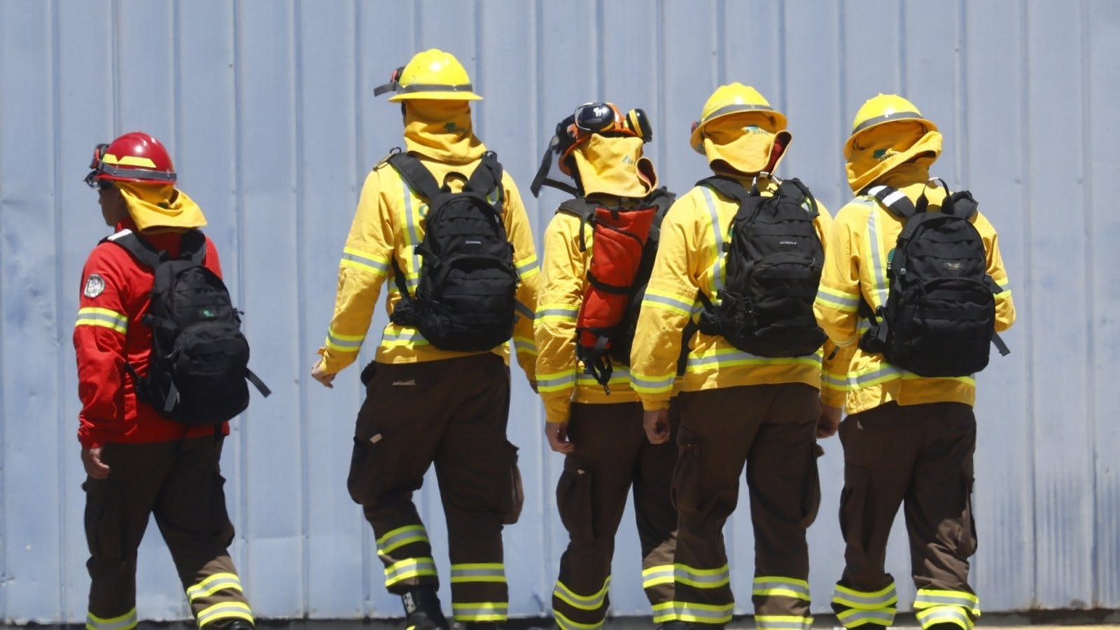 Mueren tres brigadistas tras combatir incendio forestal en región de La Araucanía