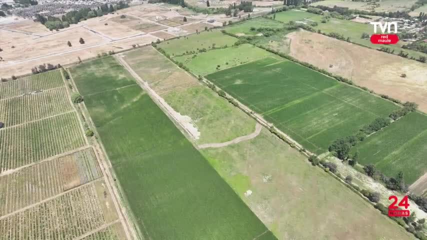 Persiste la negativa por la construcción del nuevo cementerio de Linares