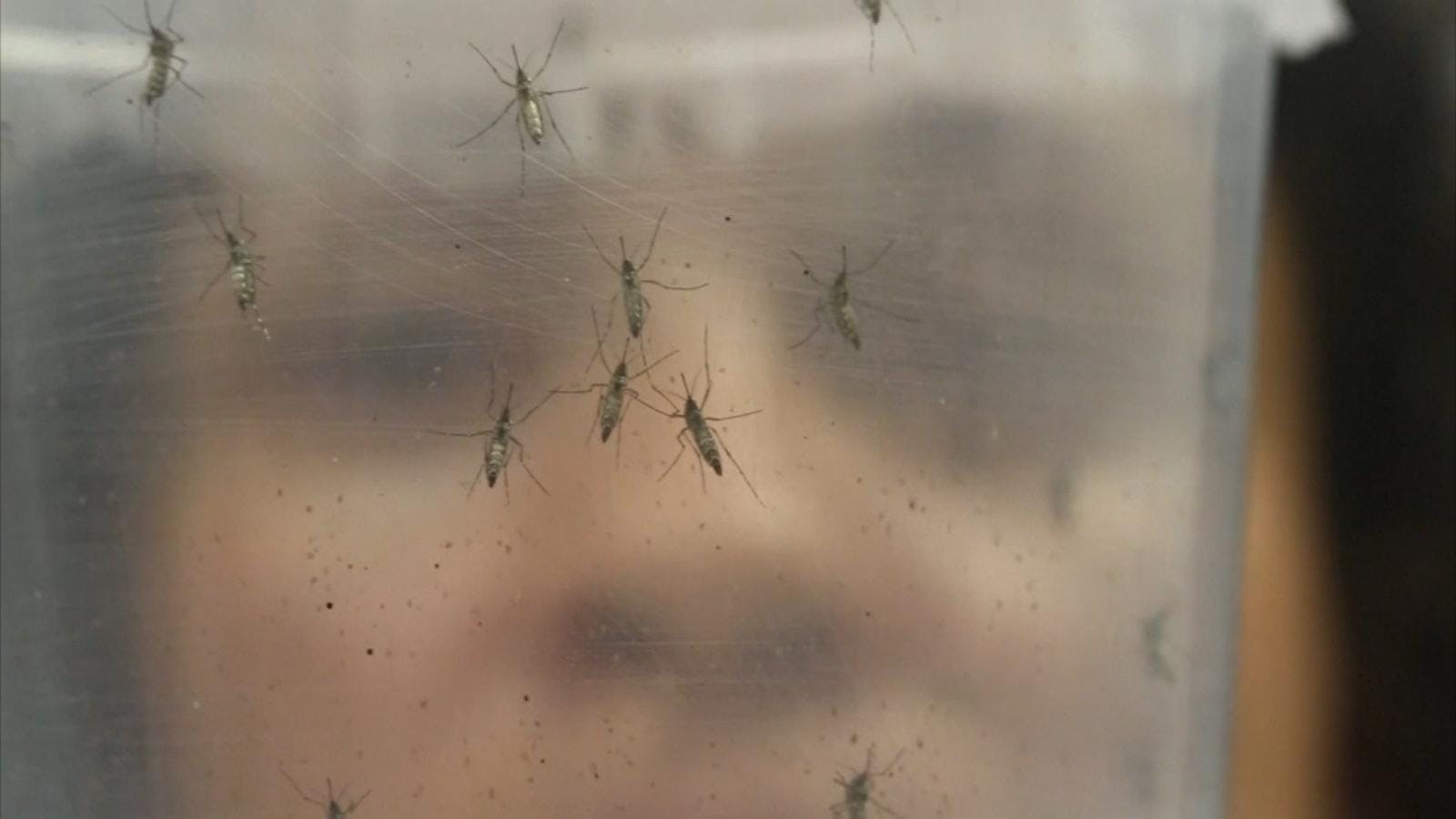 Emiten alerta temprana por evento sanitario para la región