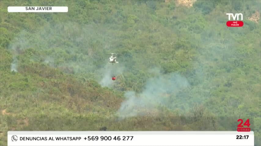 Formalizado por incendio forestal en San Javier