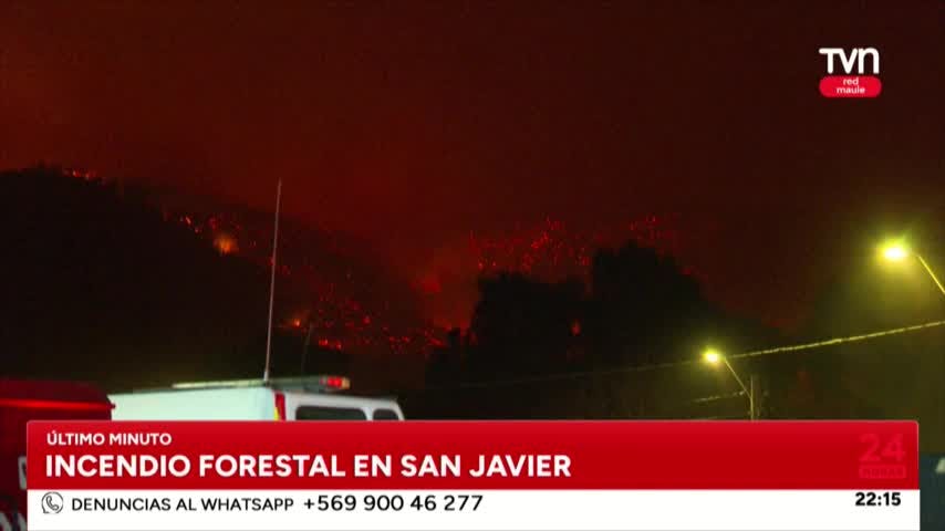 Más de 500 hectáreas quemadas en Huerta de Maule