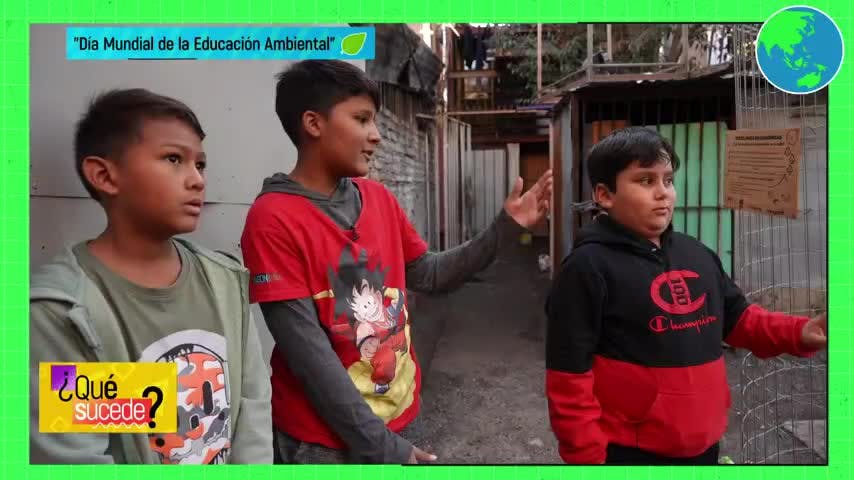 En NTV celebramos el Día Mundial de la Educación Medioambiental