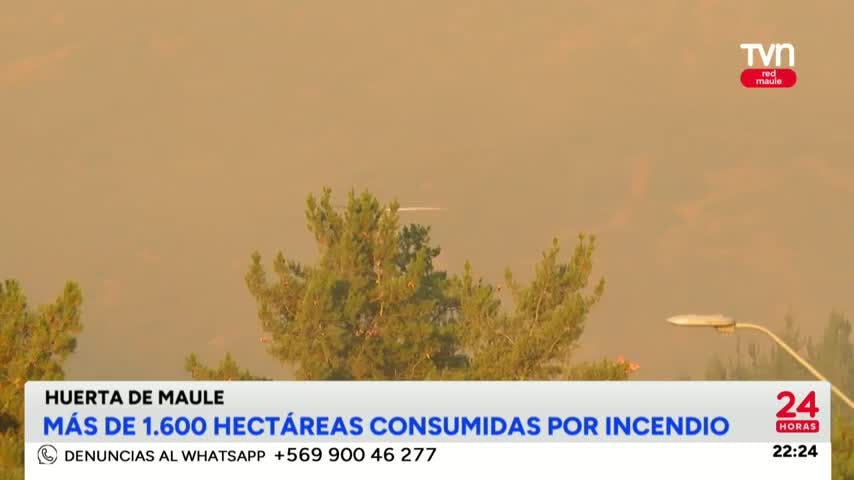 Más de 1.600 hectáreas terminaron quemadas tras incendio