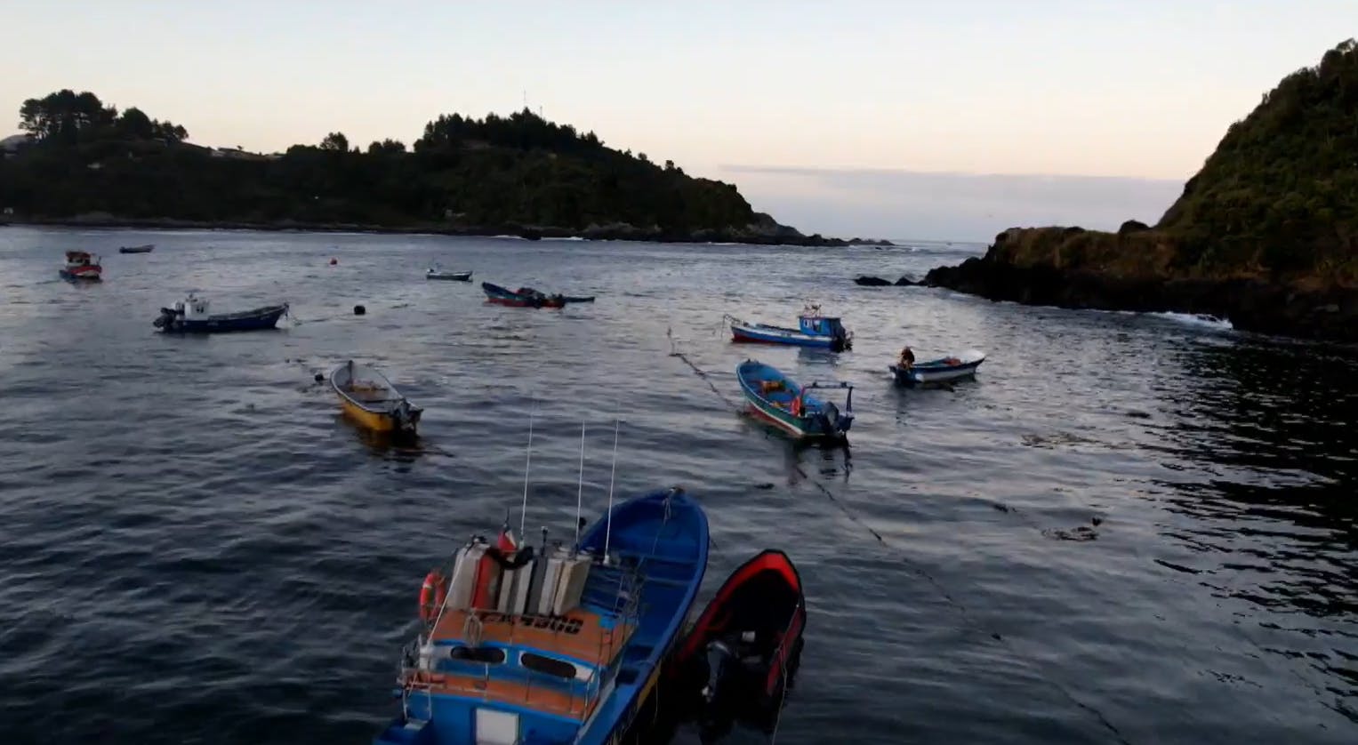 Una cadena de negligencias: ¿Qué pasó en la tragedia y naufragio de Bahía Mansa?