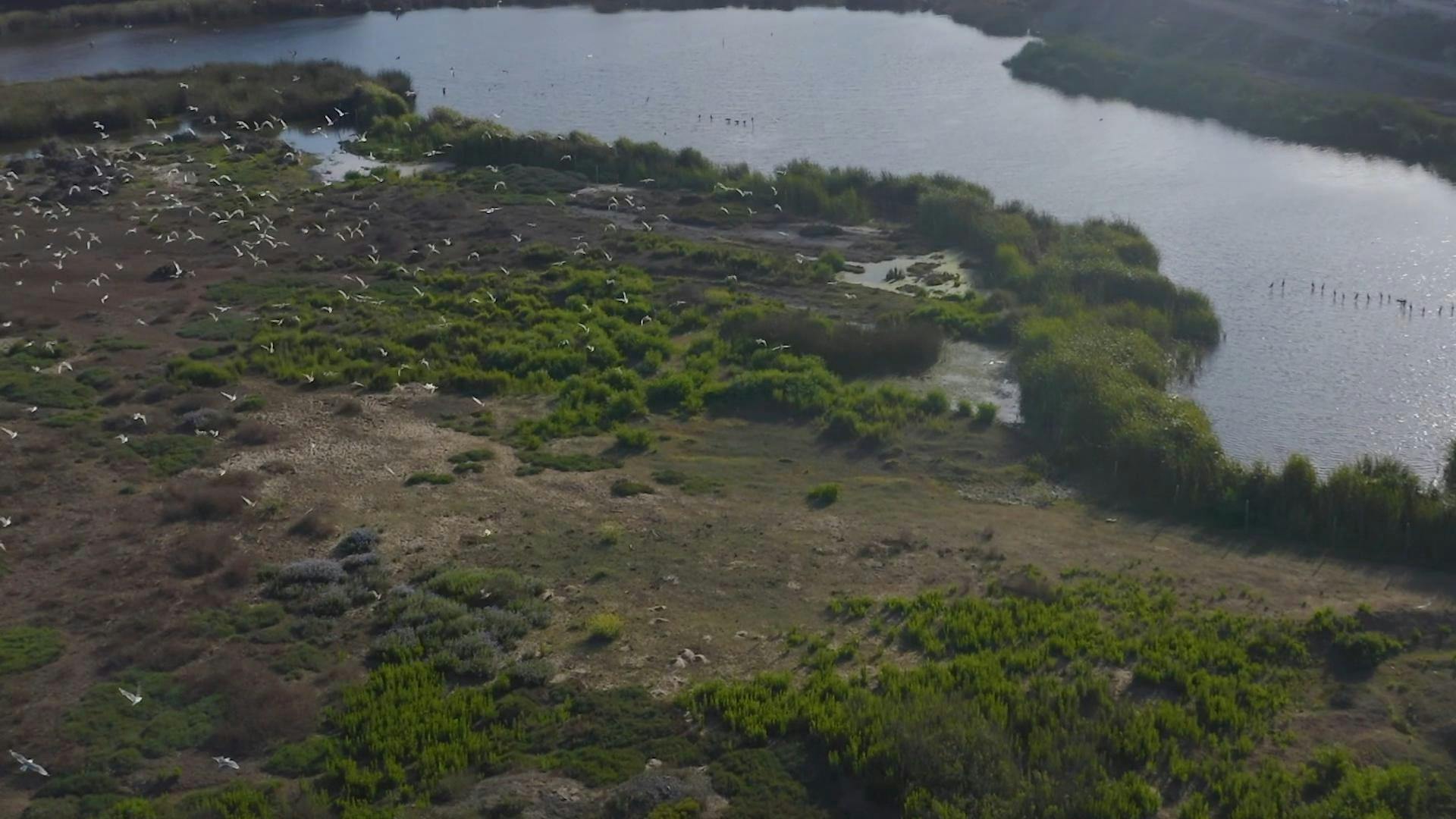 24 Horas visitó el humedal los Maitenes-Campiche en Ventanas 