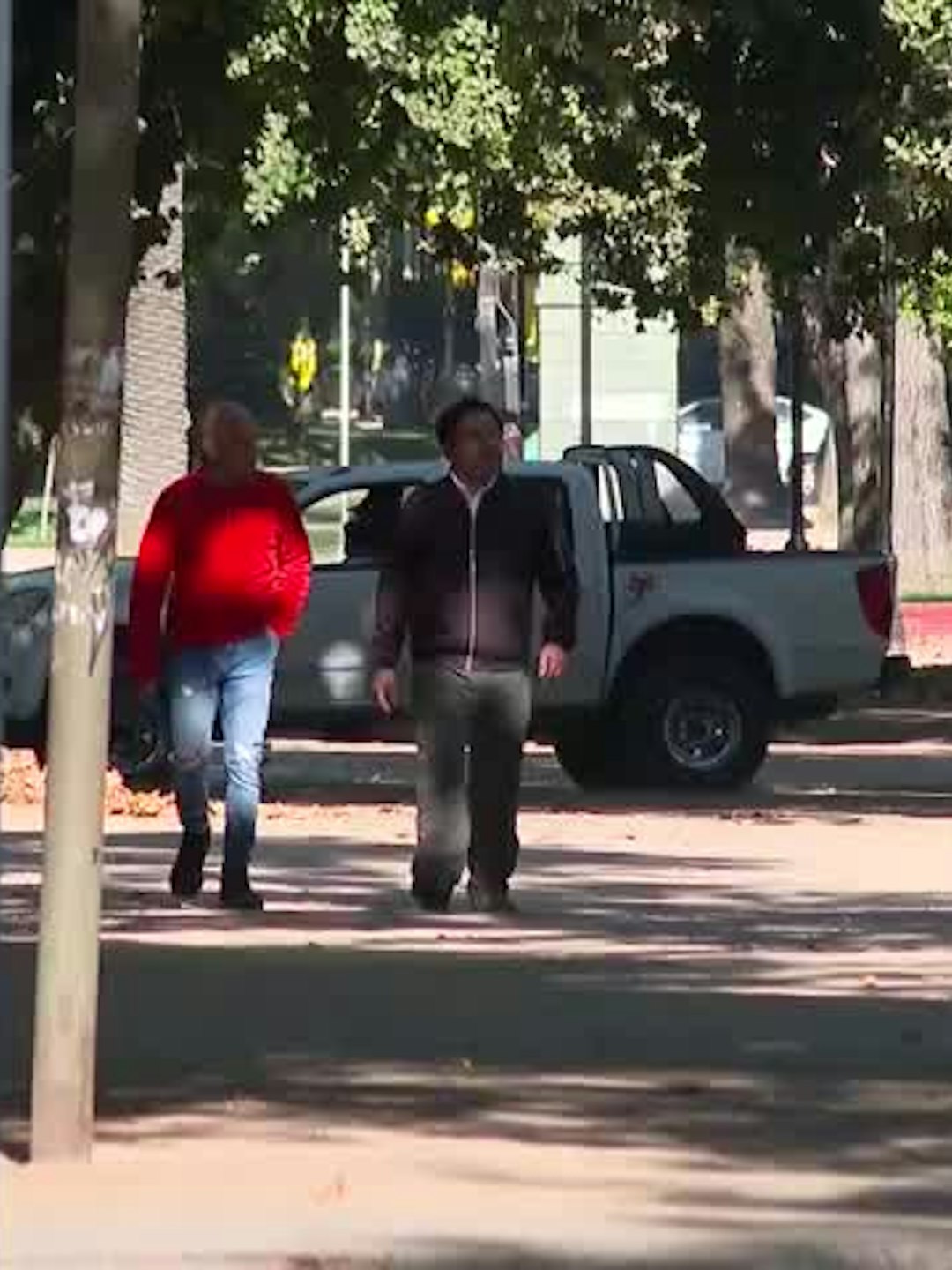 Alameda de Talca: Desafíos de la arteria verde