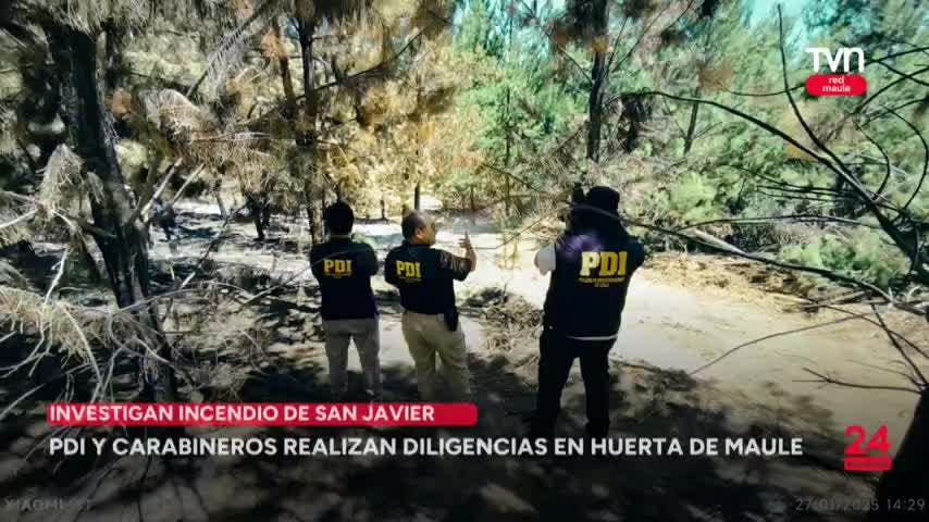 La siguiente es nuestra síntesis policial