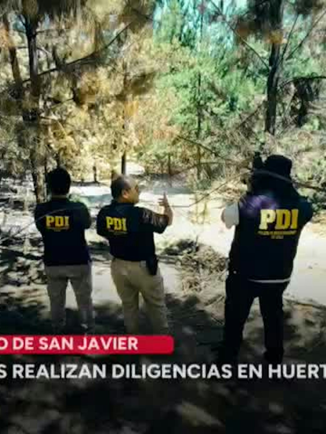 La siguiente es nuestra síntesis policial
