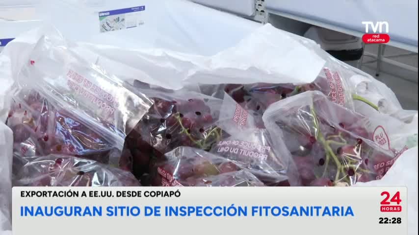 24 Horas Central Red Atacama - 29 de Enero 2025