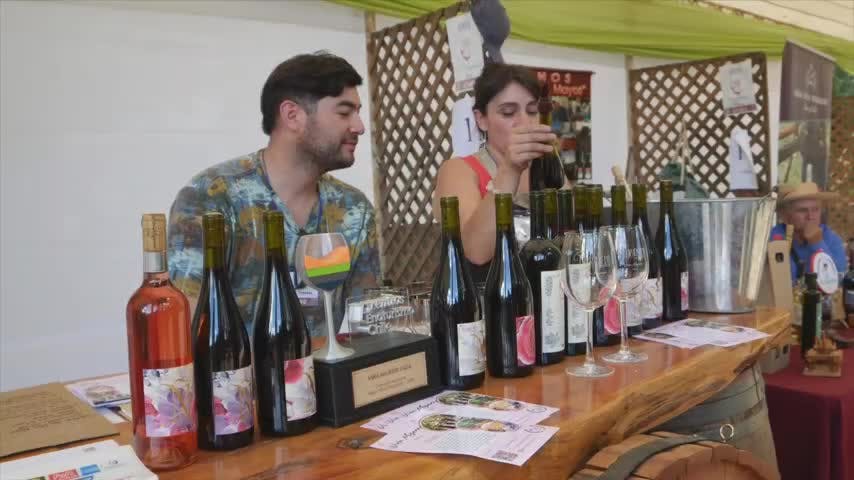 Ránquil realizará nueva edición del Concurso del Vino este sábado