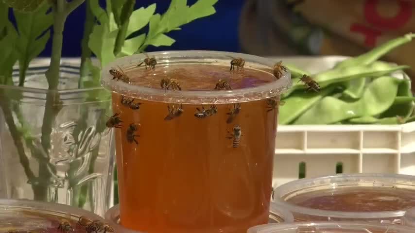Este domingo Santa Juana realizará su Fiesta de la Miel