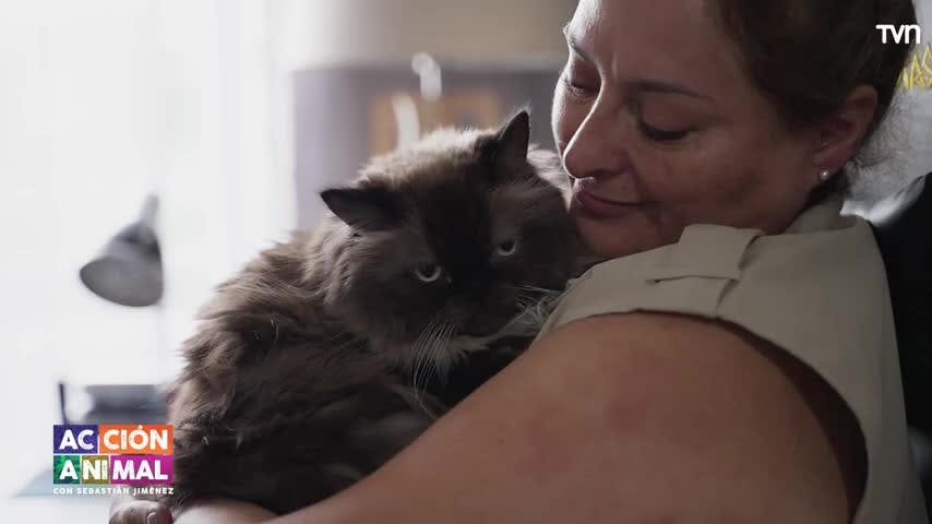 Revisamos el complicado problema de salud de Blue en Acción Animal