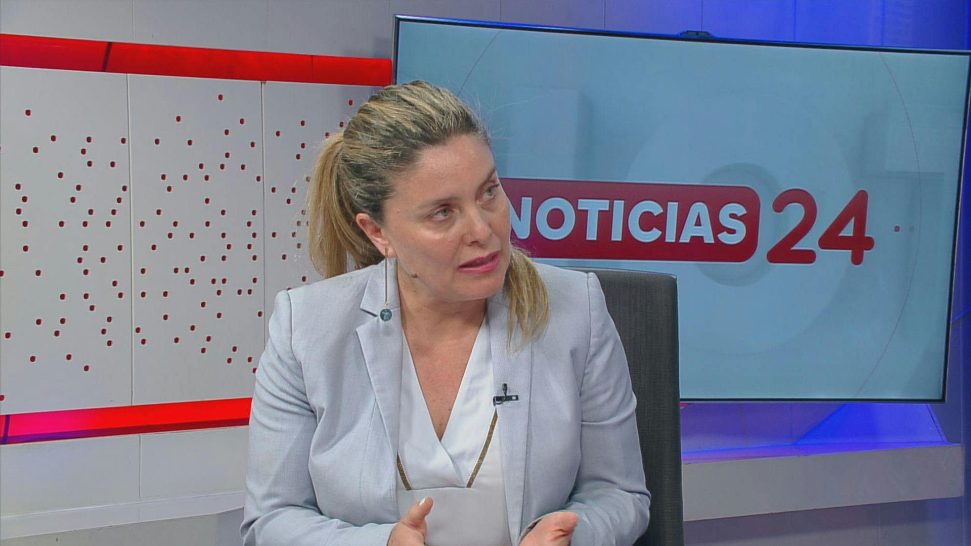 Ministra (S) de Vivienda sobre reconstrucción a un año del megaincendio en la región de Valparaíso
