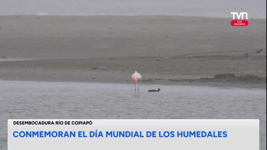 Conmemoran el Día Mundial de los Humedales