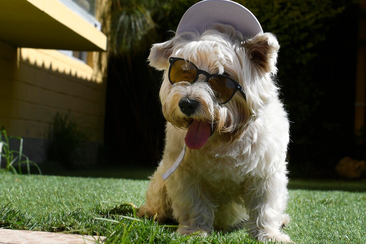 ¡A cuidarse del calor!: Revisamos el informe del tiempo para todo Chile