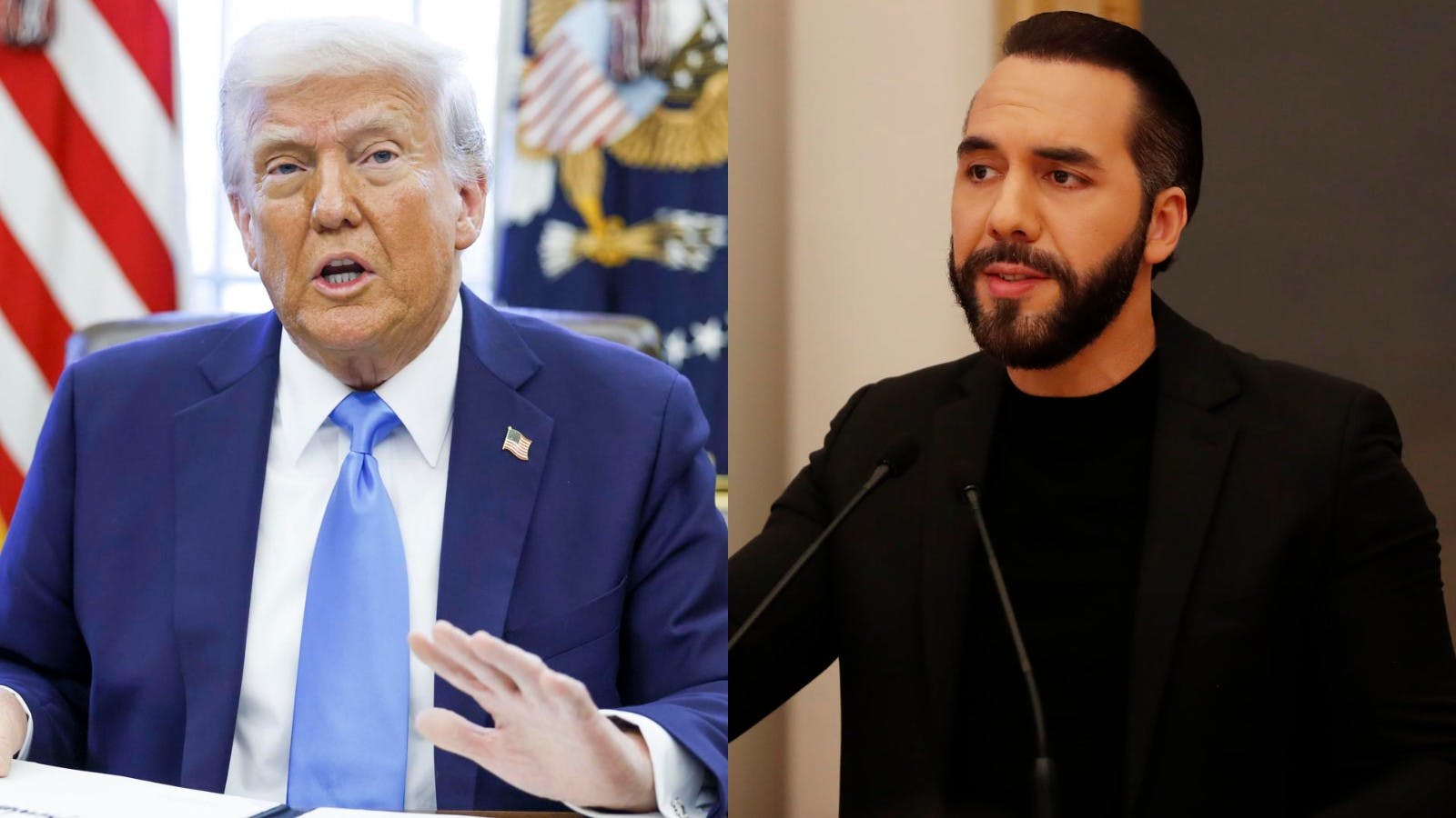¿Qué significará la alianza entre Trump y Bukele?