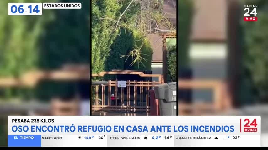 24 Horas Tu Mañana - Jueves 6 de febrero 2025