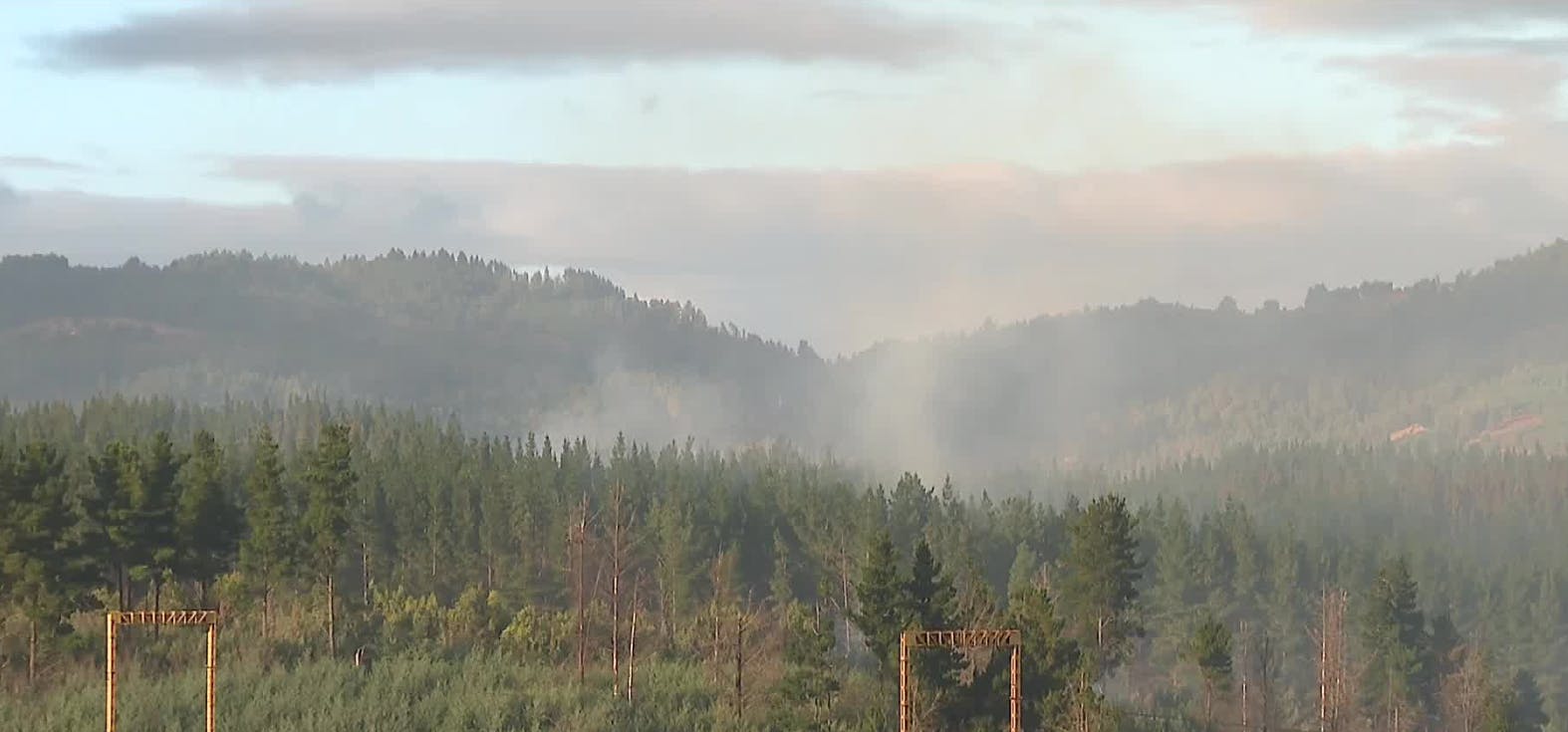 Alerta en el sur del país: La Araucanía afectada por múltiples incendios