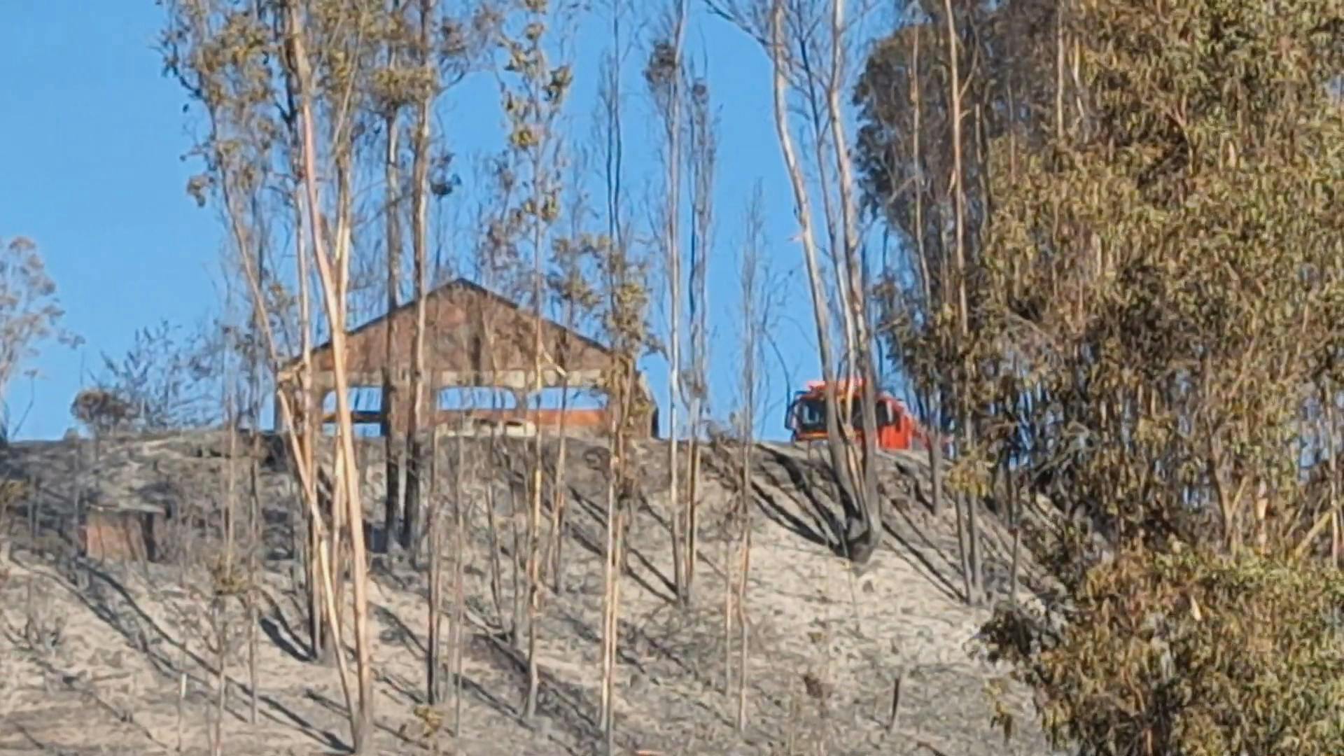 Descubren acelerante en incendio forestal de Linares