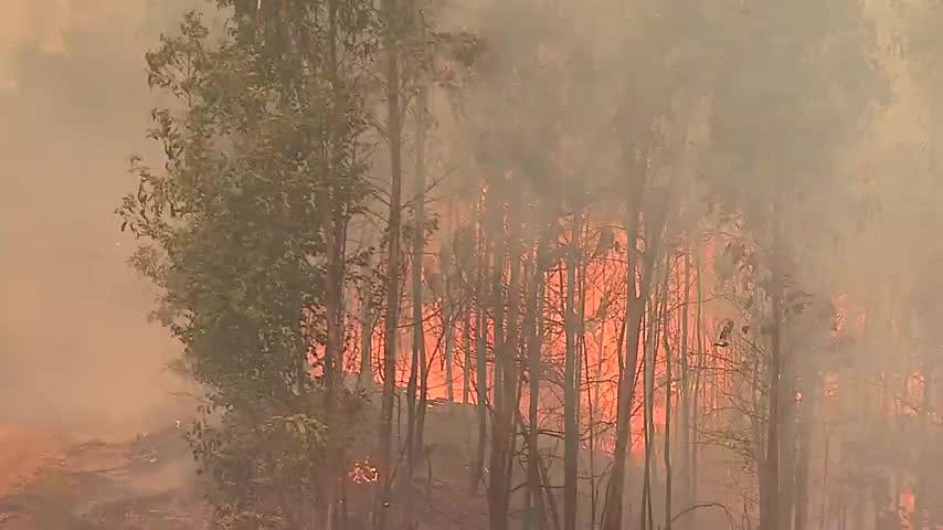Fuertes vientos se mantendrán en Biobío